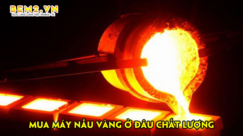 mua-may-nau-vang-o-dau-chat-luong-va-thong-tin-can-biet-bem2